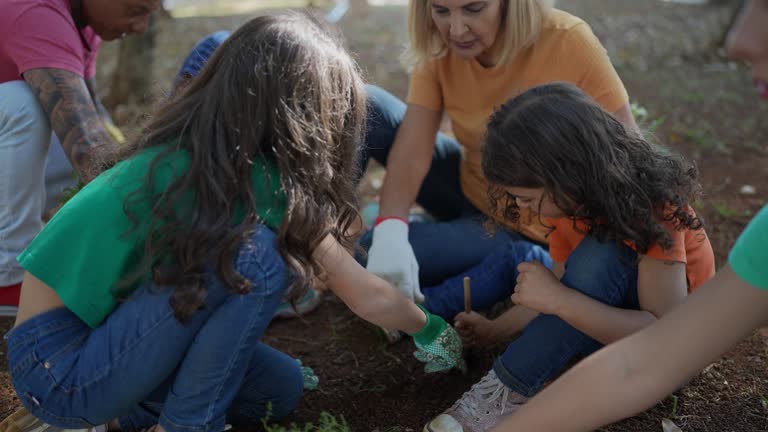 How Our Tree Care Process Works  in  Corning, CA